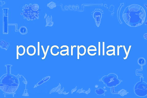 polycarpellary polycarpellary