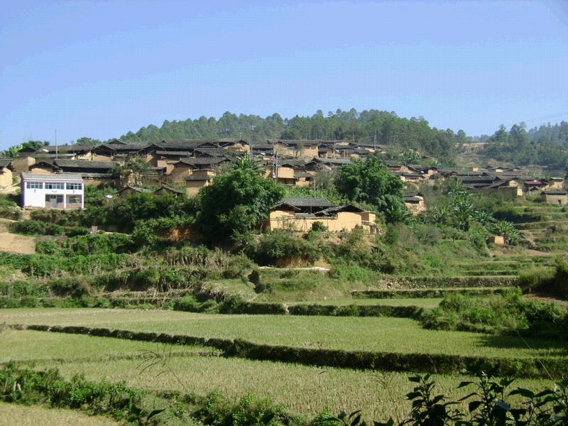 上沖革村 上沖革村