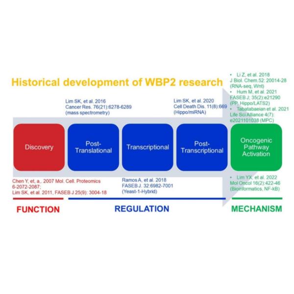 林允斌