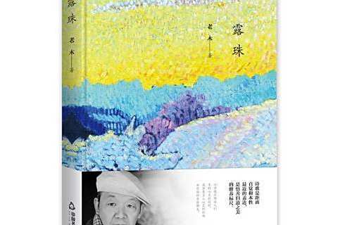 露珠(2019年中國書籍出版社出版的圖書) 露珠(2019年中國書籍出版社出版的圖書)