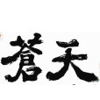 蒼天記 蒼天記