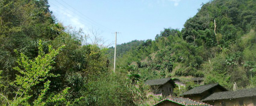 發源地福建省寧化縣治平鄉賴家山