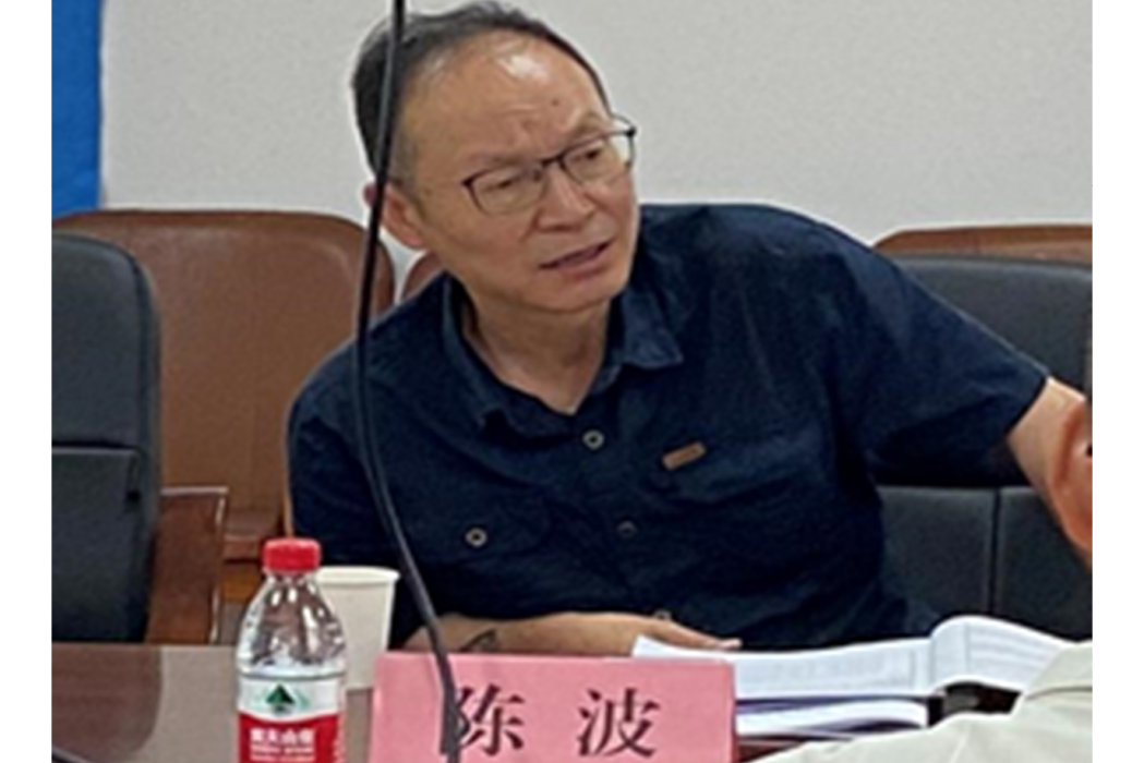 陳波(四川大學哲學系教授)