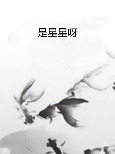 是星星呀 是星星呀