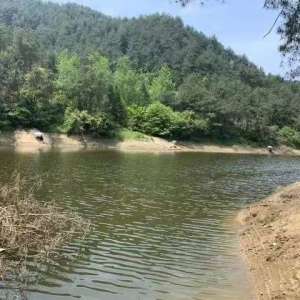 汪窪水庫