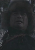 林海雪原(2002年李文歧執導電視劇)