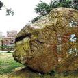 白石村(福建省漳浦縣霞美鎮白石村) 白石村(福建省漳浦縣霞美鎮白石村)