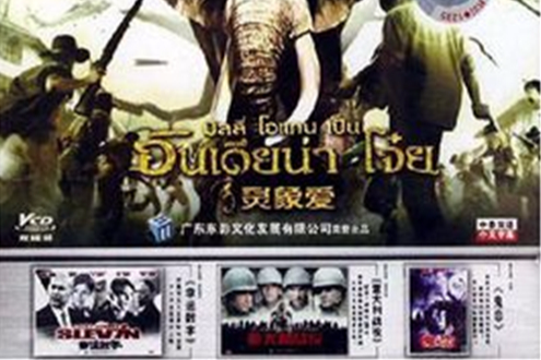 靈象愛(DVD) 靈象愛(DVD)