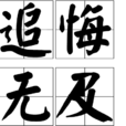 追悔無及 追悔無及