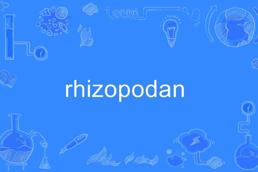 rhizopodan rhizopodan