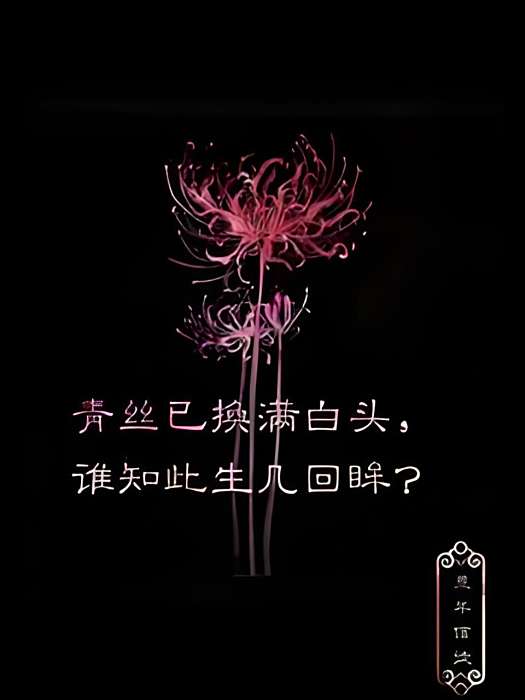 血之魂韻 血之魂韻