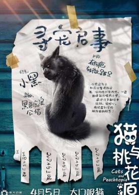 貓與桃花源