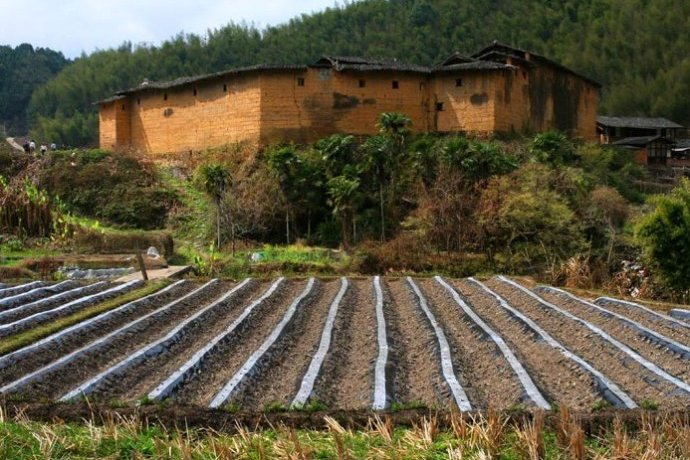 忠洛村 忠洛村