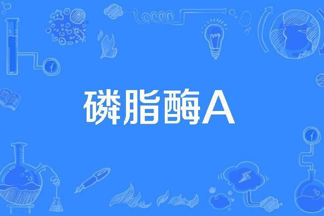 磷脂酶A 磷脂酶A