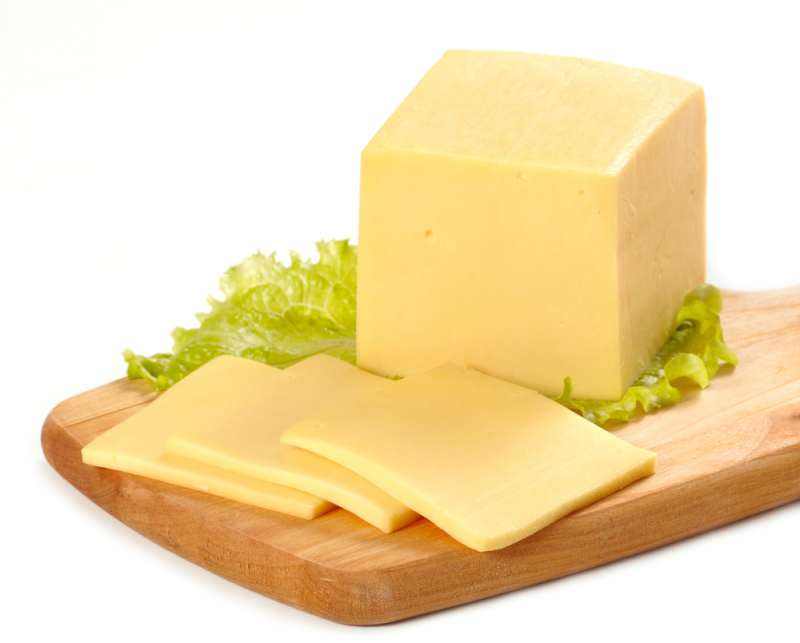 乾酪發酵劑