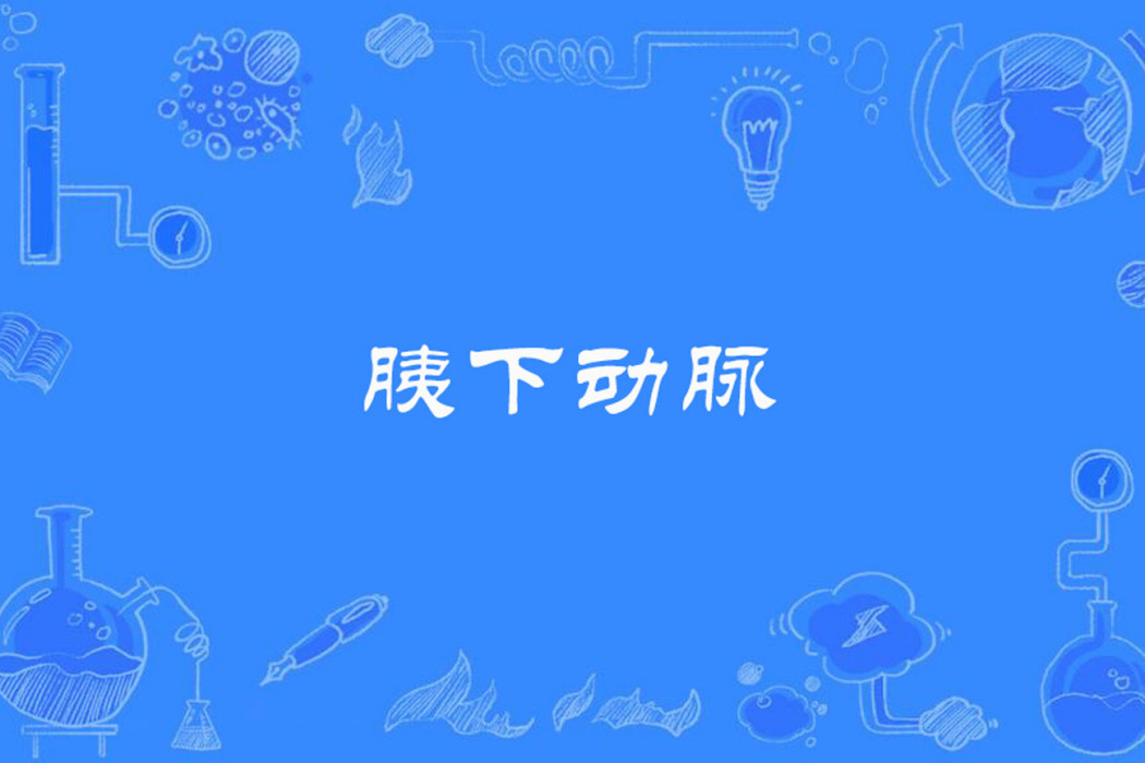胰下動脈 胰下動脈