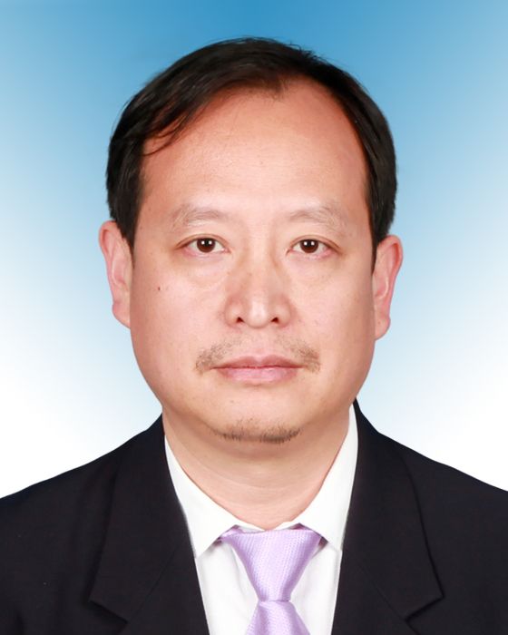 王根龍(中國地質調查局西安地質調查中心教授級高工) 王根龍(中國地質調查局西安地質調查中心教授級高工)