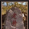 老井村
