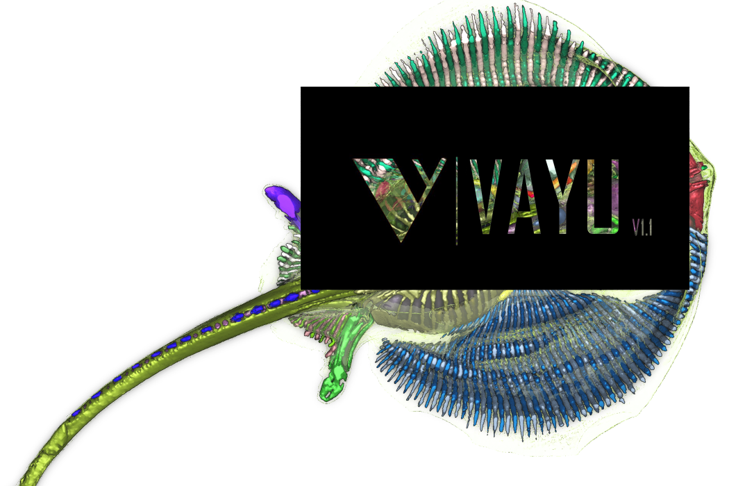 Vayu 1.0 Vayu 1.0