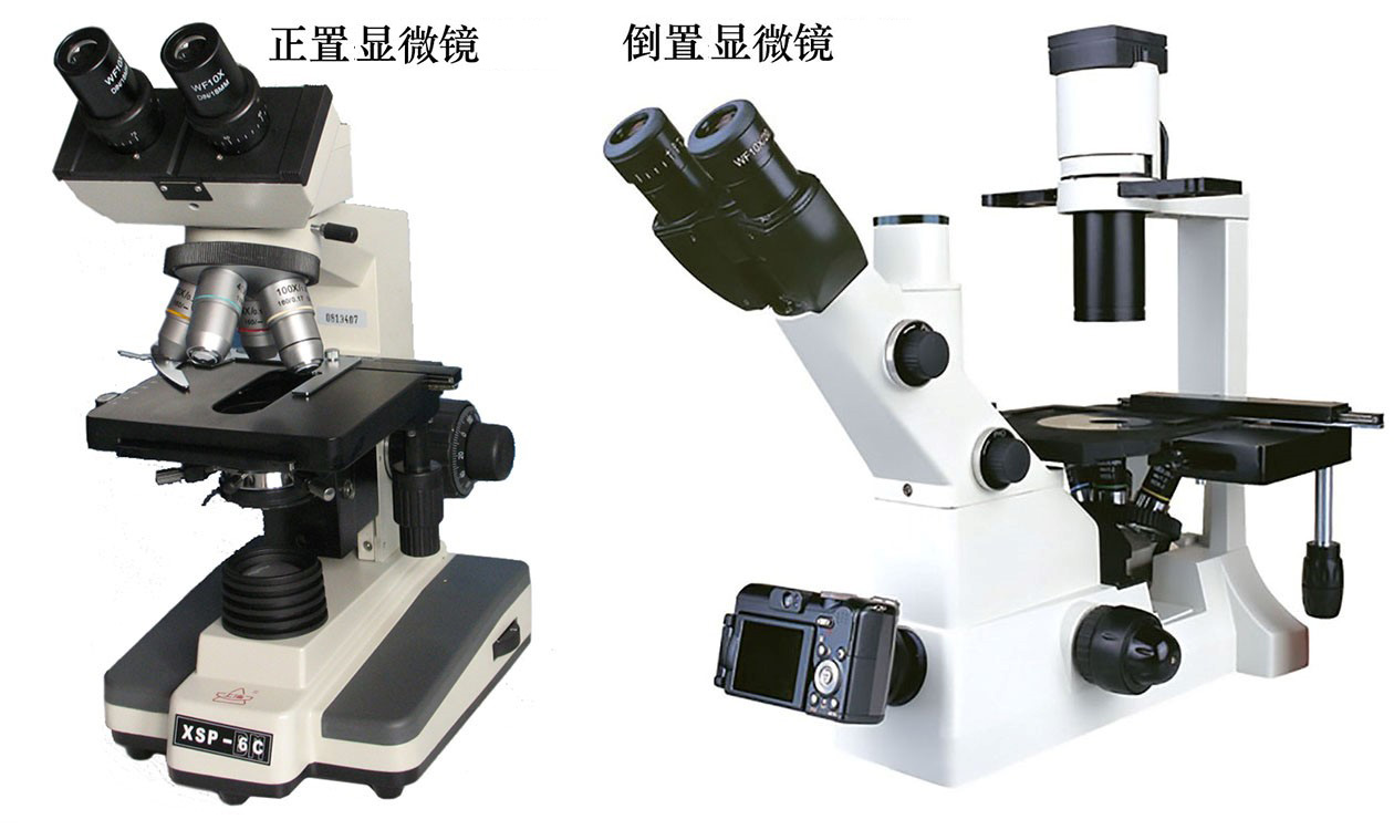 正置和倒置顯微鏡