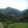 上窯村(雲南廣南縣那灑鎮下轄村) 上窯村(雲南廣南縣那灑鎮下轄村)