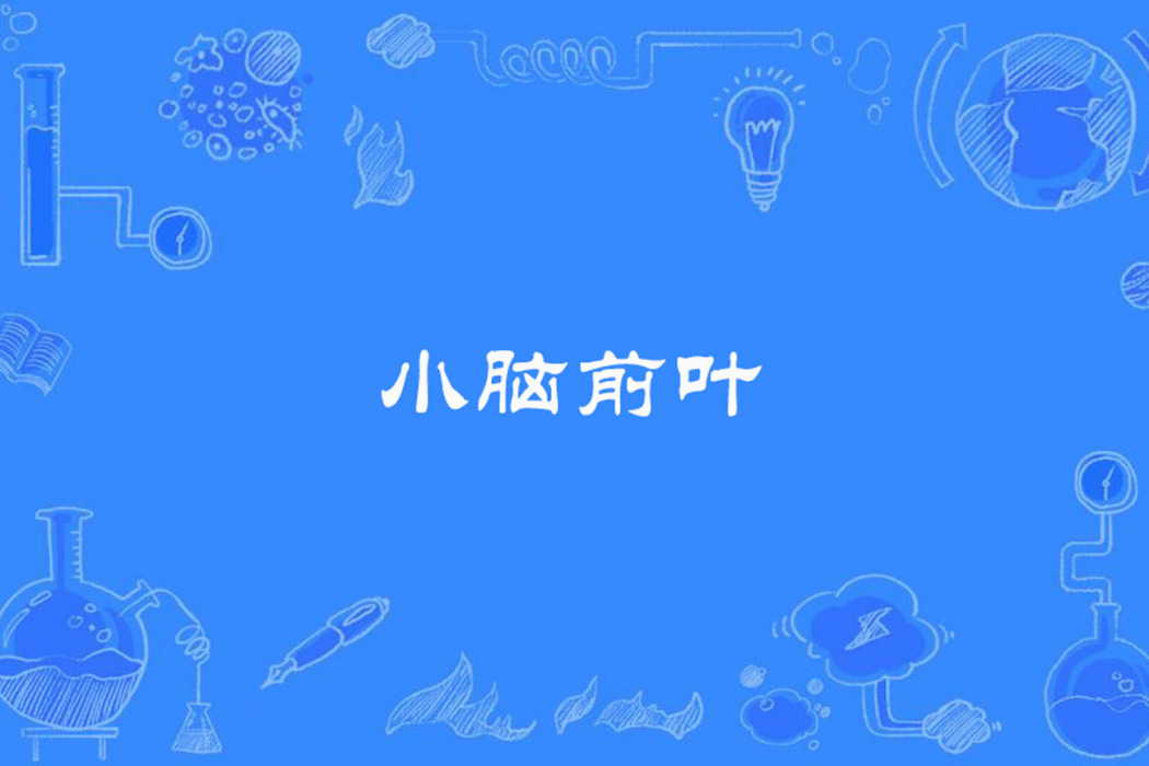 小腦前葉 小腦前葉
