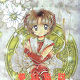 夢幻傳說(漫畫作品) 夢幻傳說(漫畫作品)