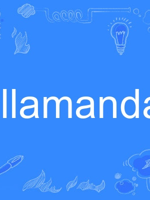 allamanda allamanda