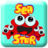 海洋之星Sea Star HD 海洋之星Sea Star HD