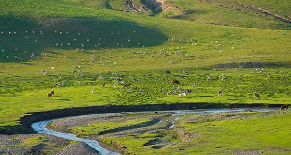 內蒙古科爾沁國家級自然保護區