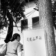 鳳凰山(湖北省武漢市鳳凰山)