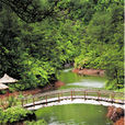響石山