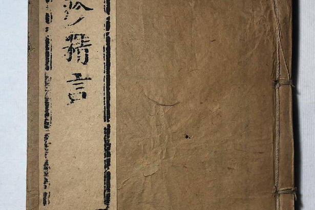 痘疹精言 痘疹精言