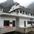 灘頭村(江西省上饒市鄱陽縣凰崗鎮下轄村) 灘頭村(江西省上饒市鄱陽縣凰崗鎮下轄村)