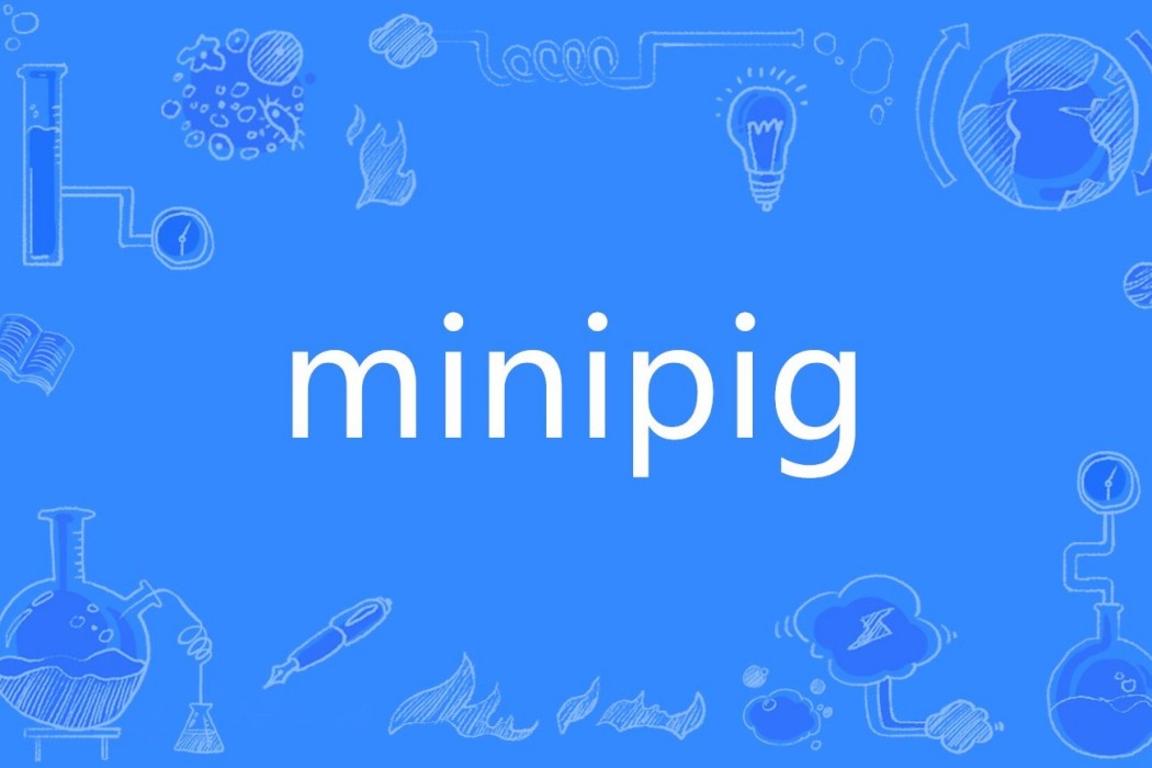 minipig minipig