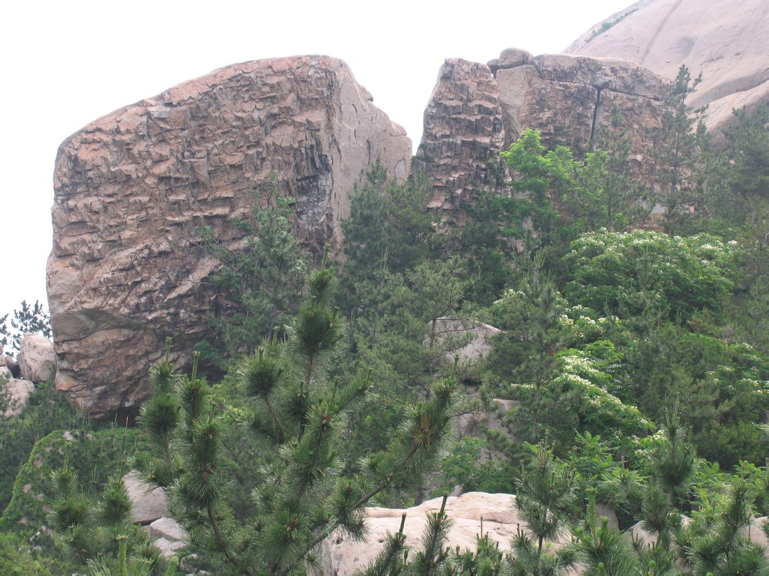 二龍山(山東省青島市二龍山)