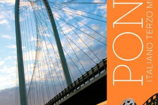 Ponti