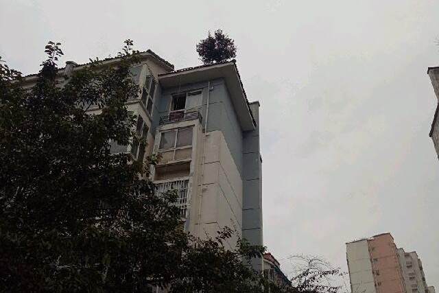 藕塘新居 藕塘新居