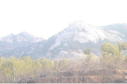 蘿蔔劉村 蘿蔔劉村