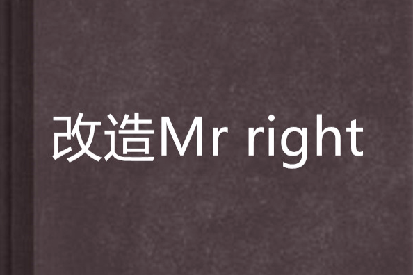 改造Mr right