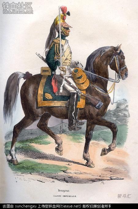 法國近衛龍騎兵，頭盔上有豹皮裝飾