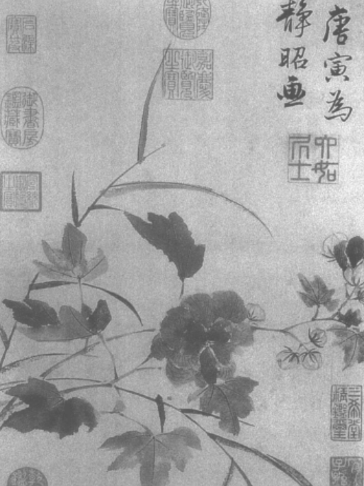 秋水芙蓉圖 秋水芙蓉圖