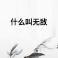 什麼叫無敵 什麼叫無敵