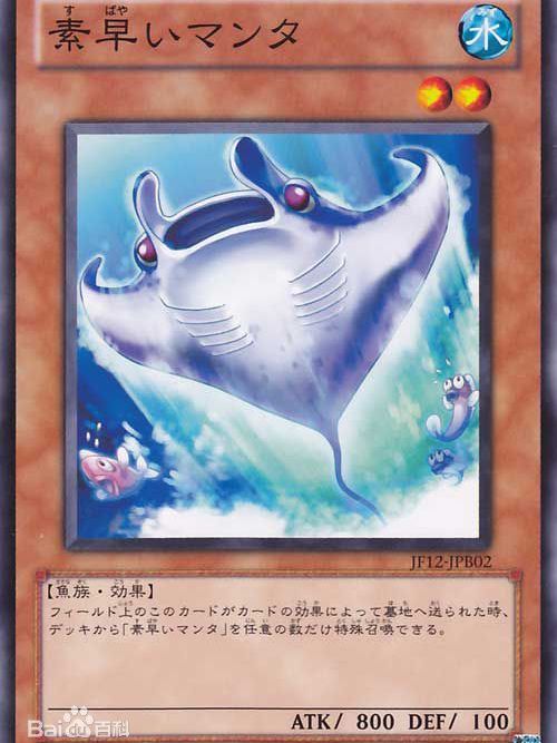 迅捷蝠鱝 迅捷蝠鱝