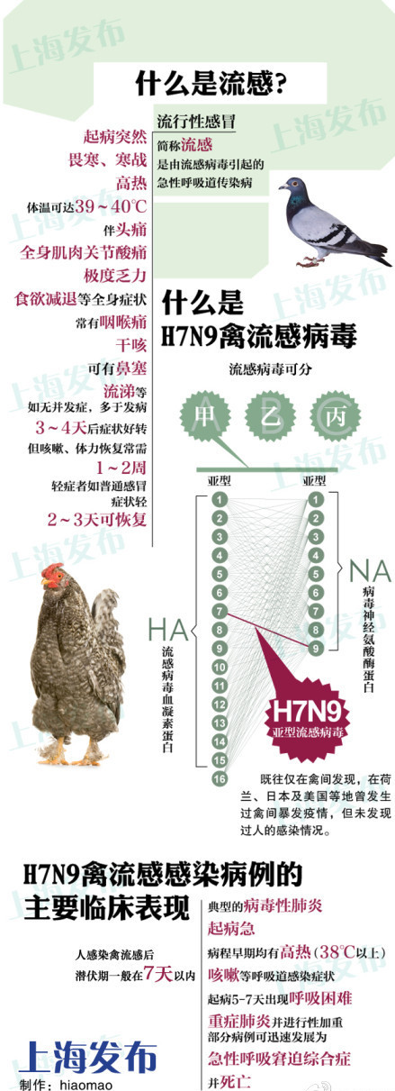 H7N9型禽流感(H7N9)