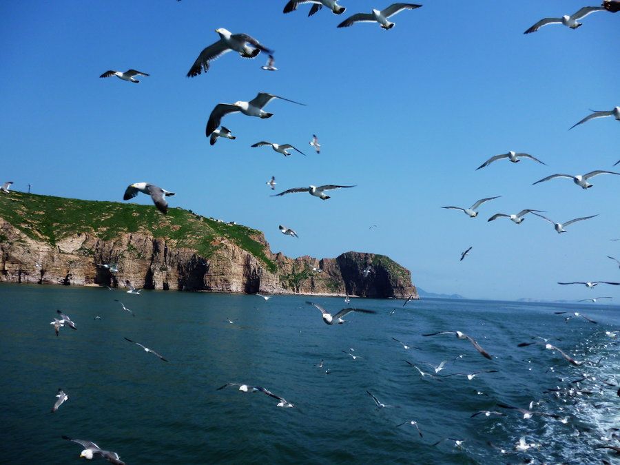 肥前鳥島 肥前鳥島