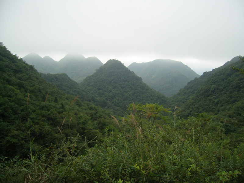 寶山原始森林風景區