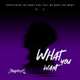 What You Want(2025年鷺卓演唱的歌曲) What You Want(2025年鷺卓演唱的歌曲)