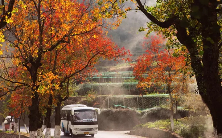 通往神龍谷的公路（秋景）