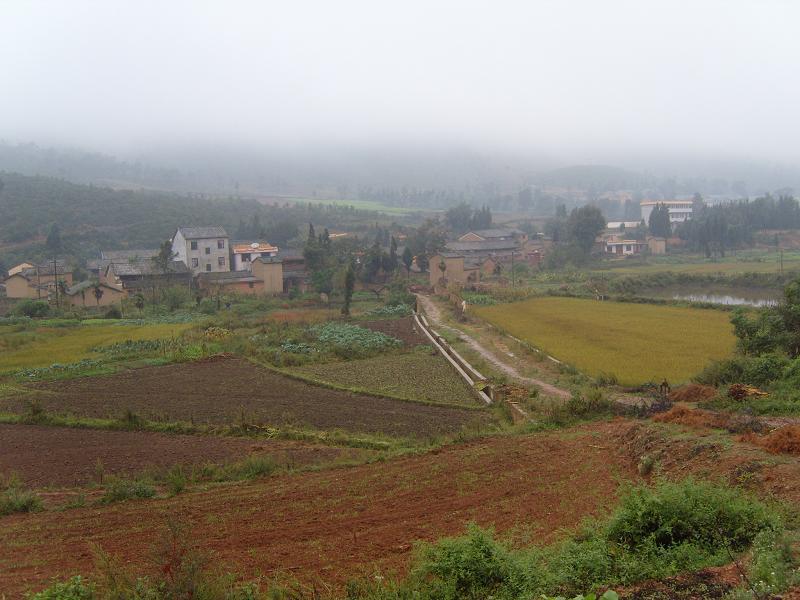 小白坡村(雲南馬龍縣通泉鎮下轄村)